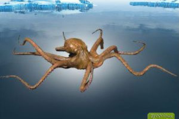 Craken14 at