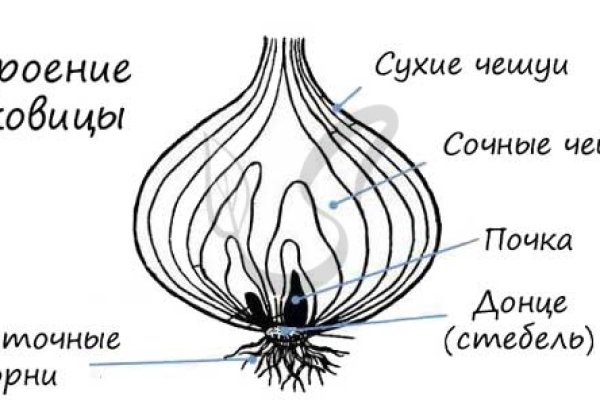 Нарко сайт кракен