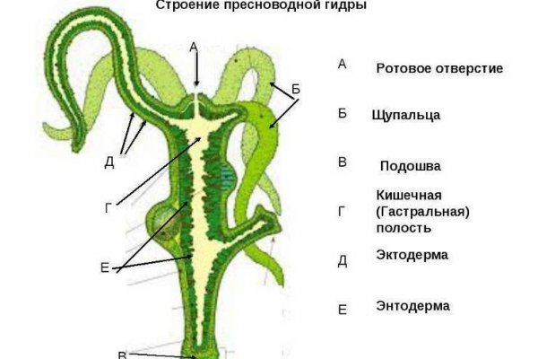 Кракен закладки